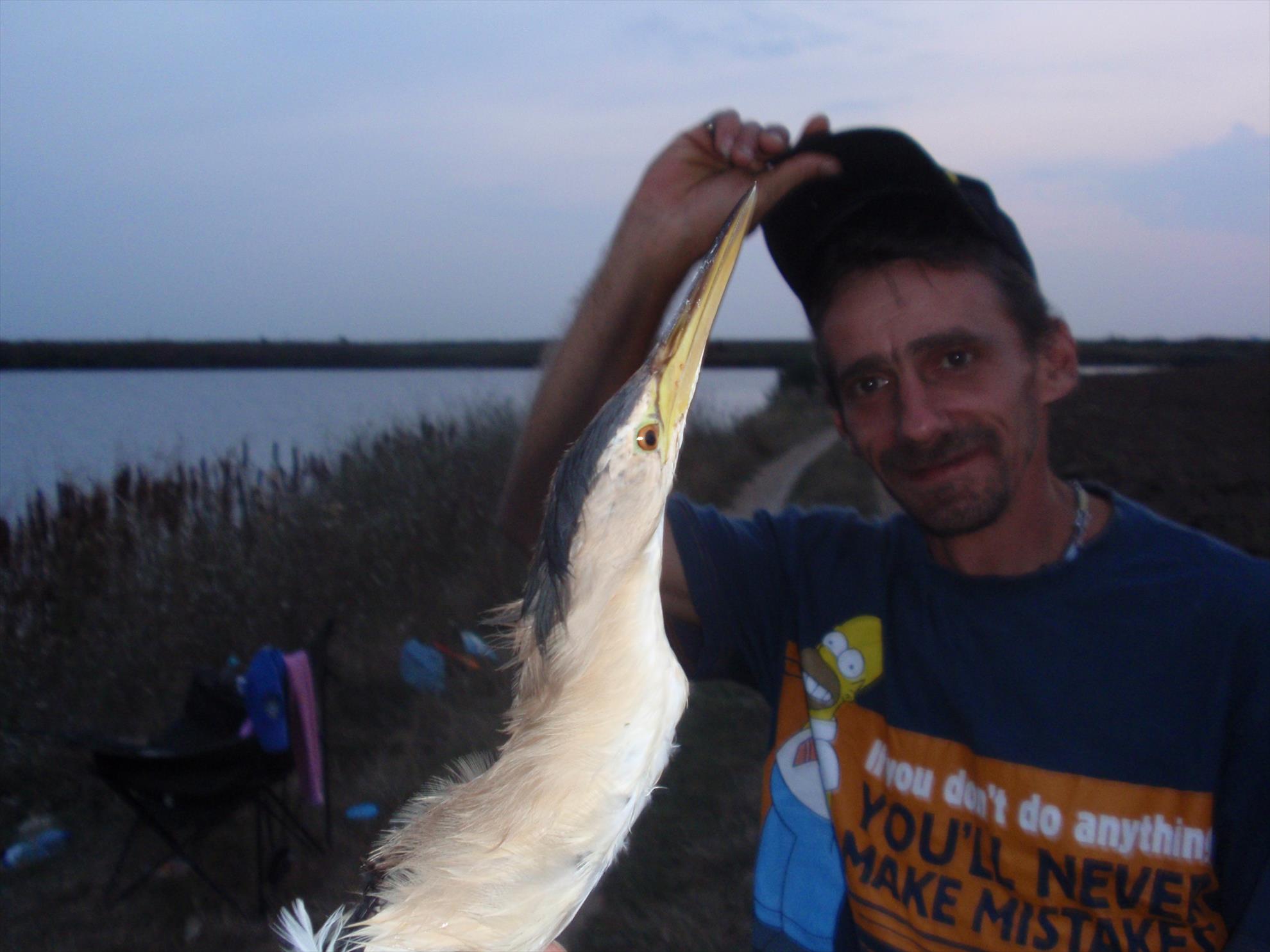 Din viata noastra... - specii protejate...nu pasarea... :)
